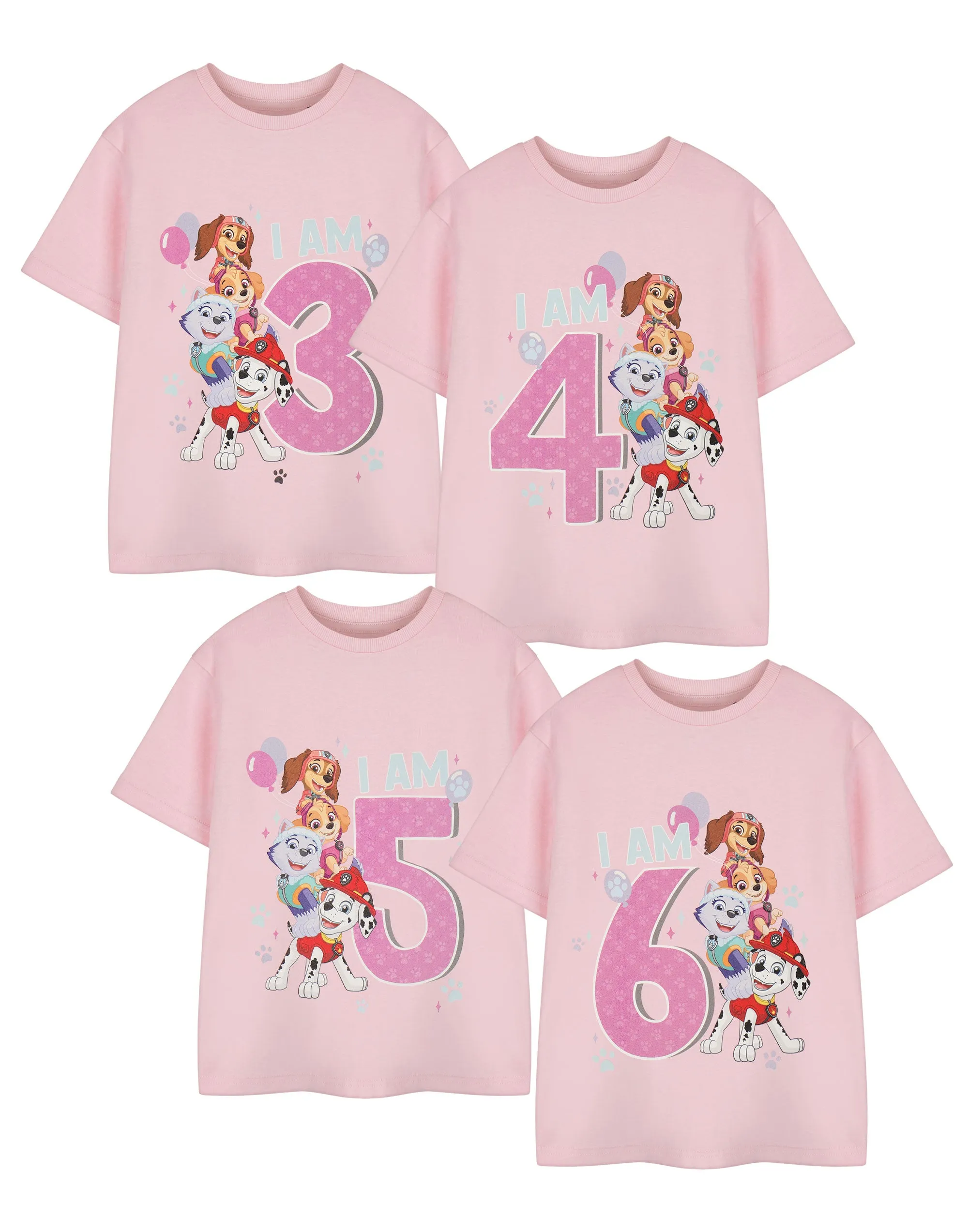 Paw Patrol Birthday Girls Pink Short Sleeved T-Shirt