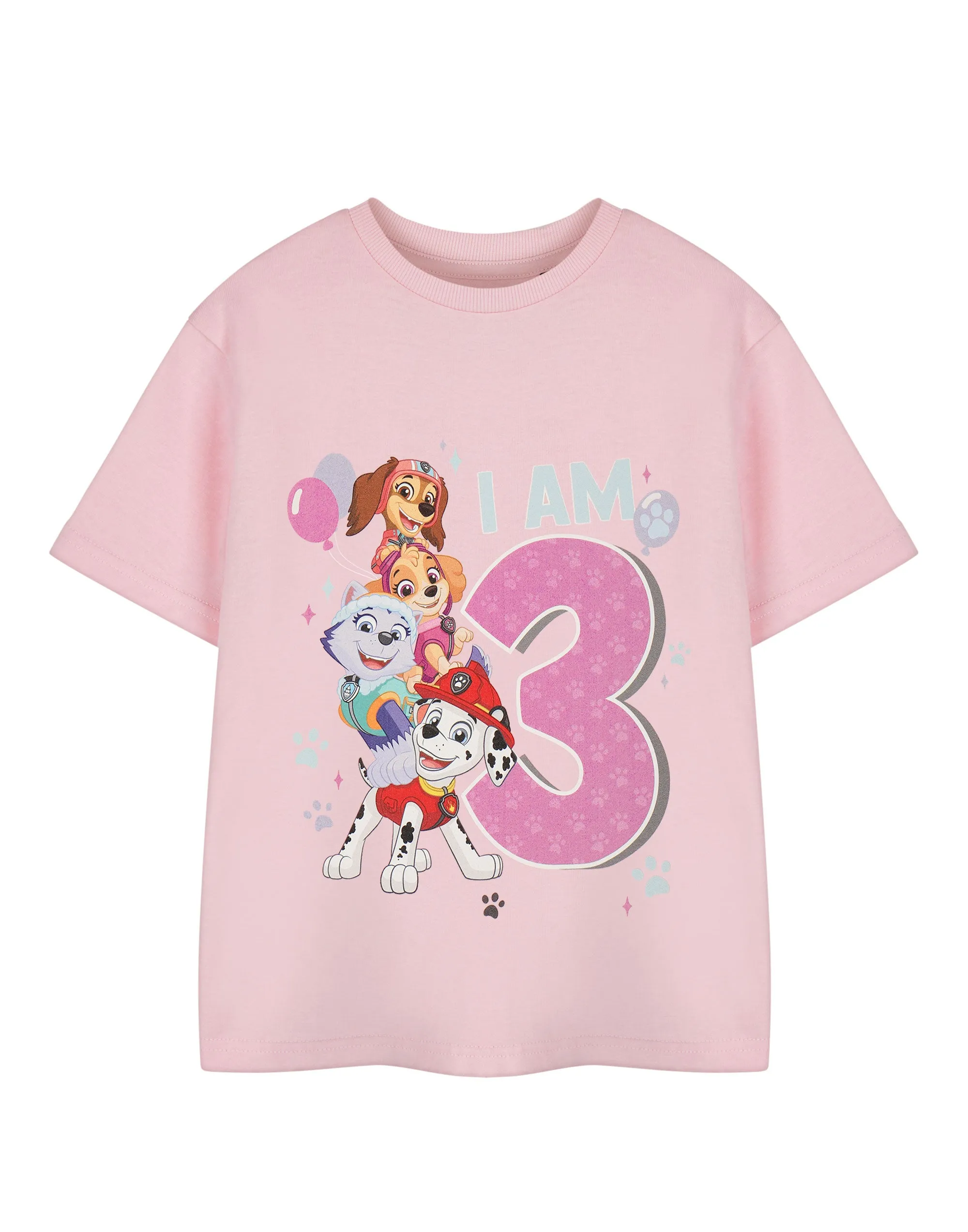 Paw Patrol Birthday Girls Pink Short Sleeved T-Shirt