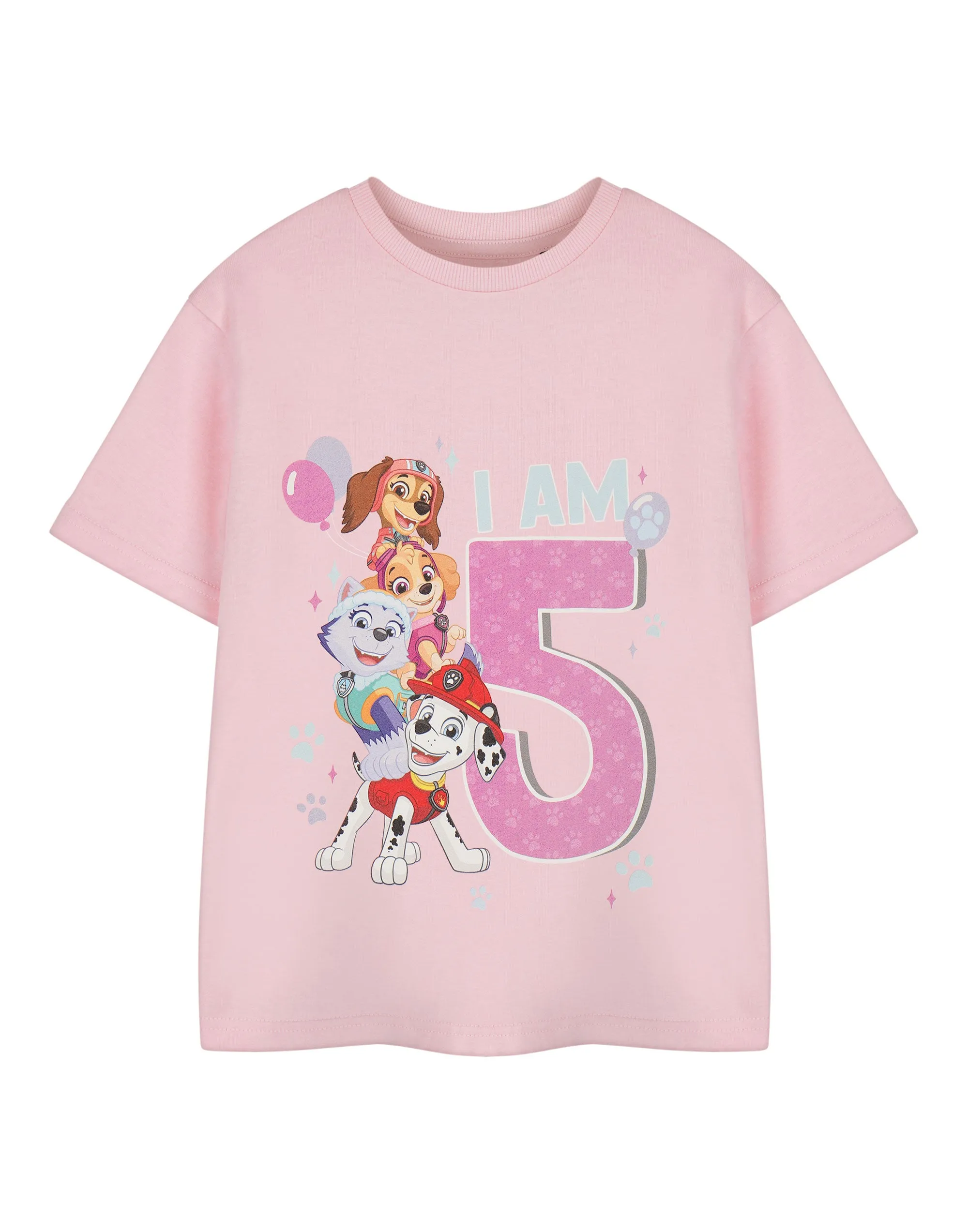 Paw Patrol Birthday Girls Pink Short Sleeved T-Shirt