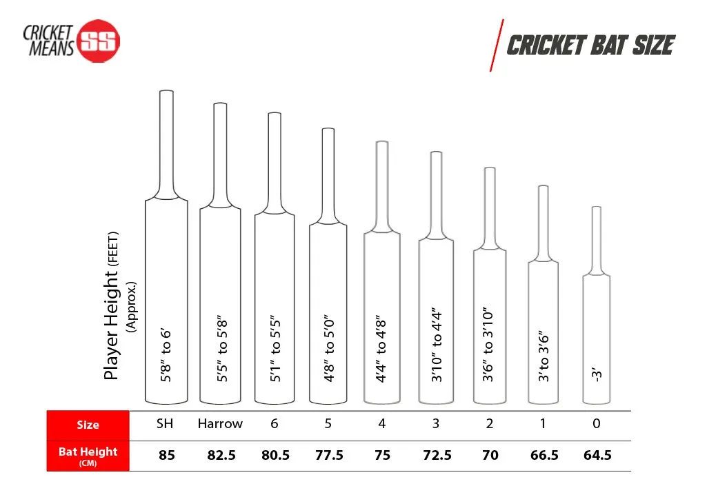 SS Cannon Kashmir Willow Cricket Bat | KIBI SPORTS